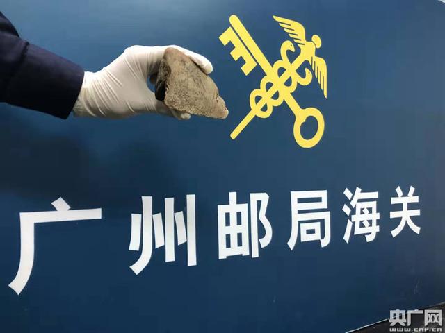 央广网■“浅海珍宝”伪装“塑料样品”企图蒙混过关被查