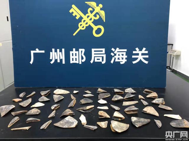 央广网■“浅海珍宝”伪装“塑料样品”企图蒙混过关被查