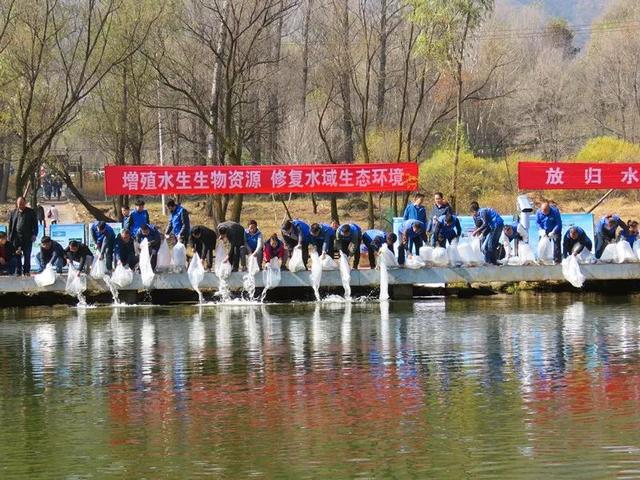 北京日报客户端：北京野生鱼类锐减！“我太难了，手下留情吧”