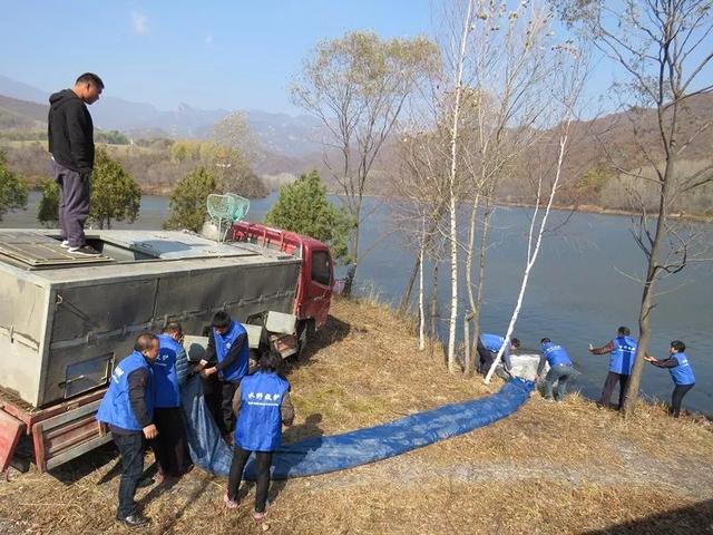 北京日报客户端：北京野生鱼类锐减！“我太难了，手下留情吧”