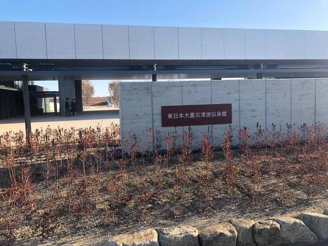 【中国青年网】一棵值1.5亿日元的松树