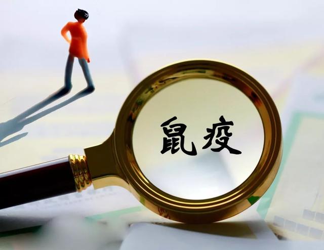 「女性之声」关注|关于“鼠疫”，权威解答你关心的12个疑问