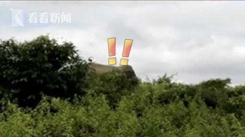[光明网]印度大象杀手逃亡两周“被捕”曾发飙踩死5村民