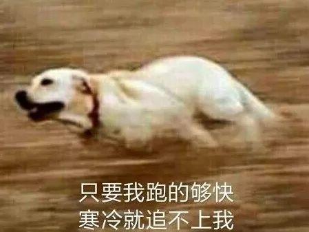 【光明网】强冷空气来了！不讲道理的那种……
