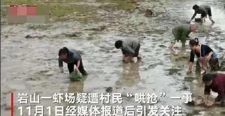 「21世纪经济报道」【夜读】某主播煽动粉丝恶意刷单700万，店家求饶：比利益更重的，是良知