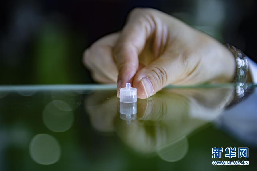 [新华网]第二届中国国际进口博览会精彩照片