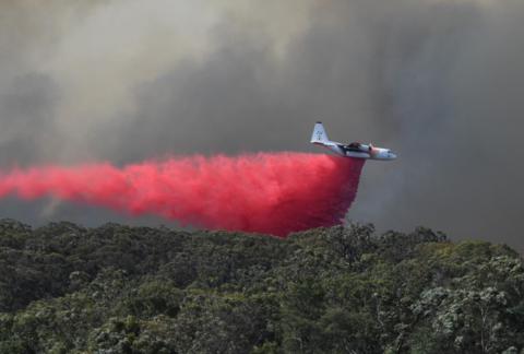 海外网：澳大利亚东部仍有13处山火未控制 一男子高原纵火被起诉