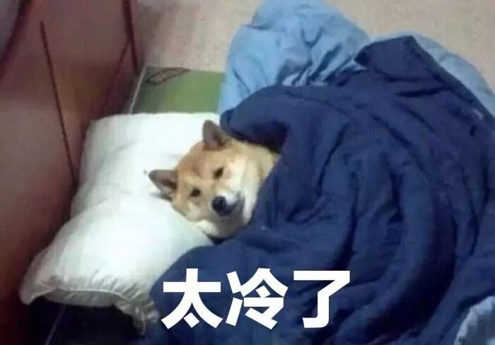 中国天气网@寒潮+暴雪预警！气温跳楼大甩卖 9省区降温超10℃+！