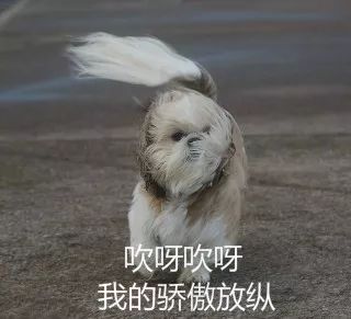 中国天气网@寒潮+暴雪预警！气温跳楼大甩卖 9省区降温超10℃+！