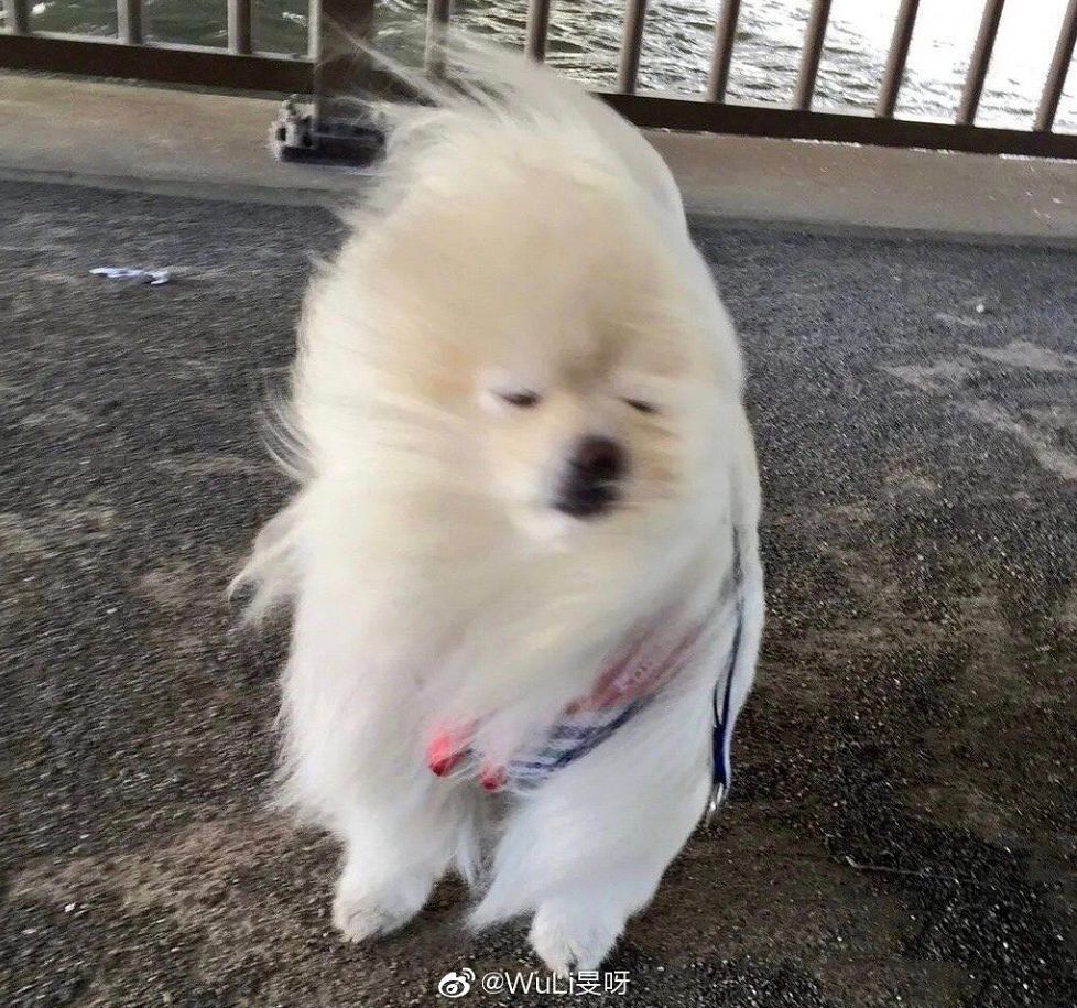 7到9级大风气温暴跌至3湖北多地降雪接下来的天气