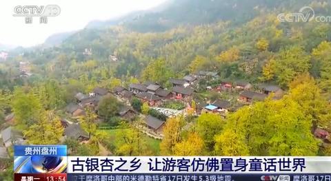 「海外网」美不胜收！这些地方的彩林红叶进入最佳观赏时