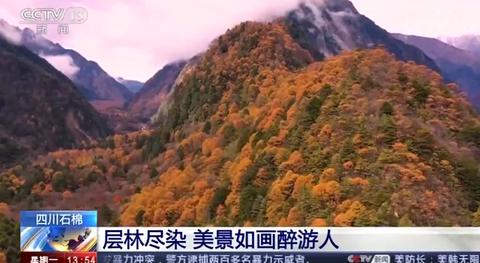 「海外网」美不胜收！这些地方的彩林红叶进入最佳观赏时