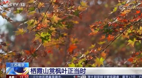「海外网」美不胜收！这些地方的彩林红叶进入最佳观赏时