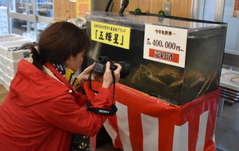 海外网：世界最贵螃蟹被做成800万日元套餐 厨师感叹：一生一次啊