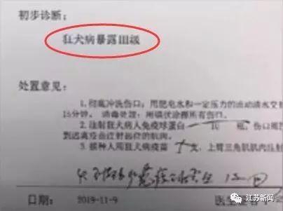 「光明网」在餐厅吃饭竟有老鼠掉头上！女子头皮瞬间被咬破，更惨的是……