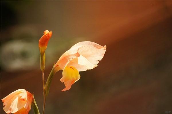 「光明网」人生感悟知多少，压力之下怎么想