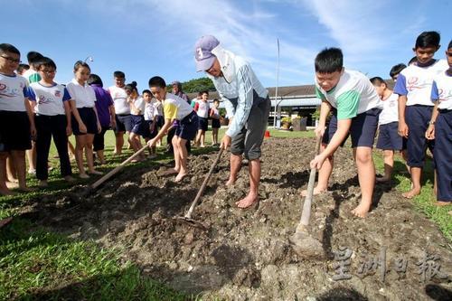 中国侨网：大马怡保一华小学生学农 亲身体验种植乐趣