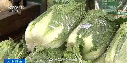 光明网■白菜不再“白菜价”？韩国白菜暴涨至30元一棵