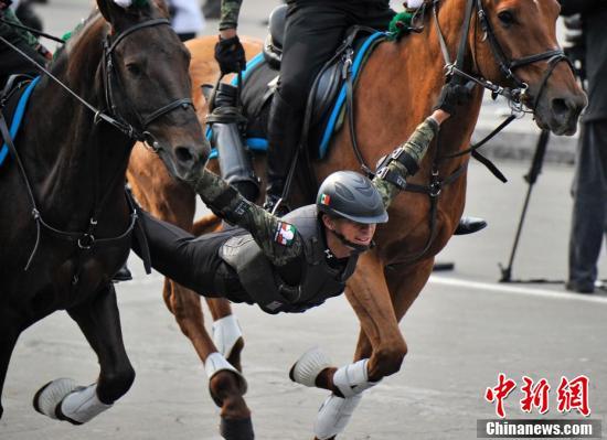 「中青在线」墨西哥阅兵式 骑兵“失足”连人带马栽倒在地
