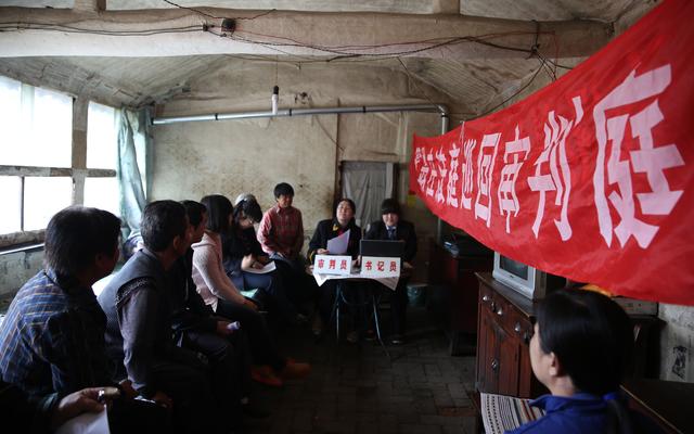 「新京报」上山轰猪进地里数玉米 乡村女法官田间地头6年讲法