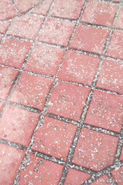 「光明网」北京通州大兴平谷现短时零星小雪 初雪？不算