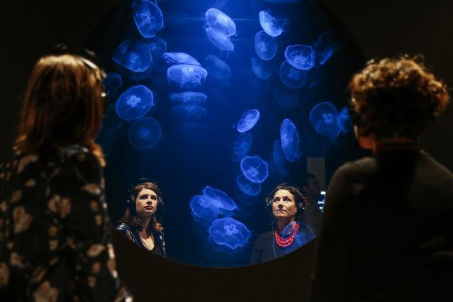 中国青年网■每周图片精选（11.16-11.22）