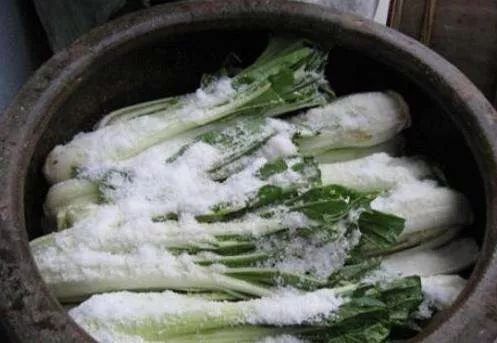 文汇报■小雪丨云暗初成霰点微，旋闻蔌蔌洒窗扉