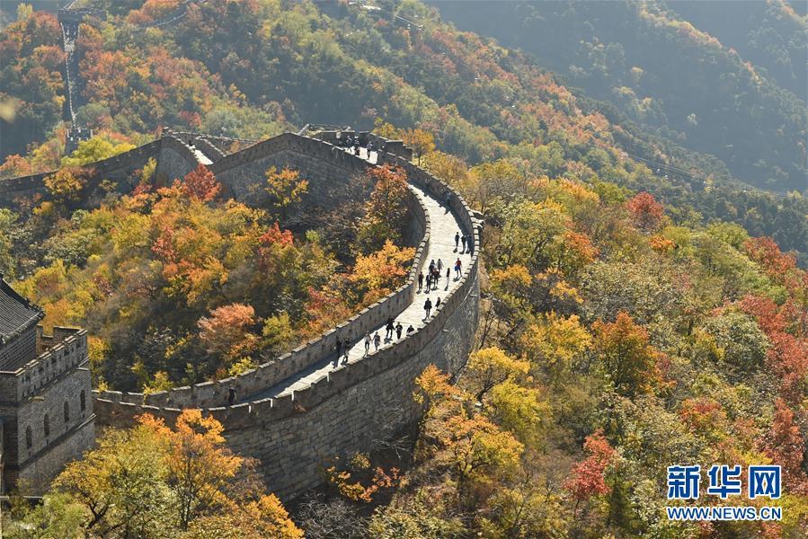 #新华网#镜观中国·新华社国内照片精选｜北京拾秋