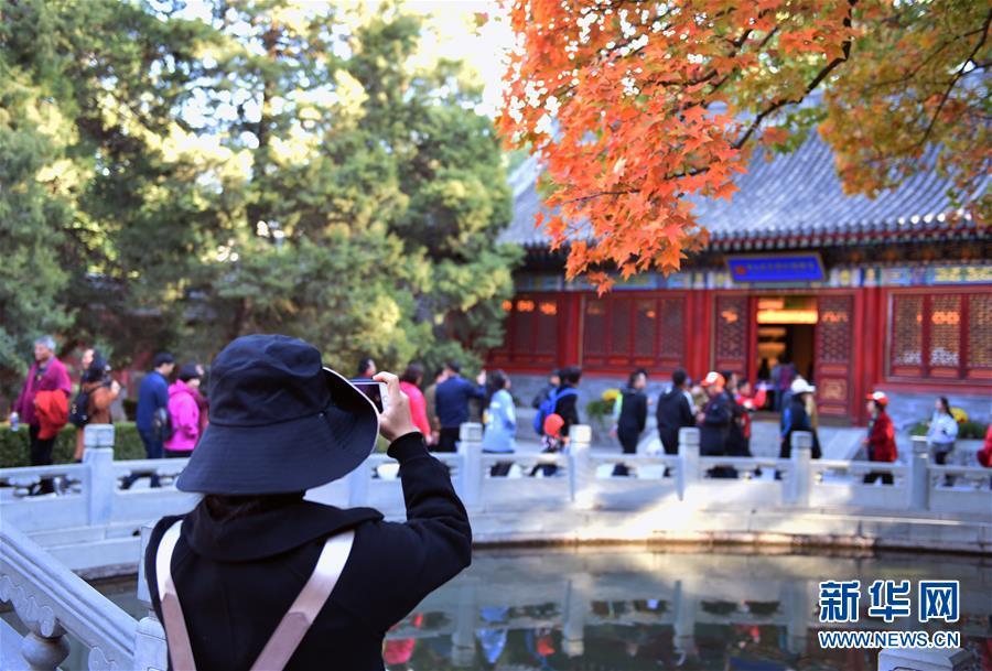 #新华网#镜观中国·新华社国内照片精选｜北京拾秋