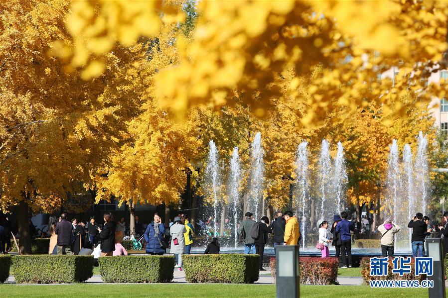 #新华网#镜观中国·新华社国内照片精选｜北京拾秋