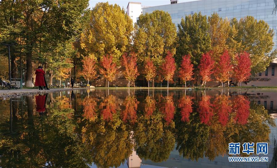 #新华网#镜观中国·新华社国内照片精选｜北京拾秋