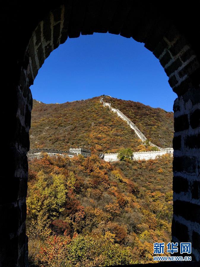 #新华网#镜观中国·新华社国内照片精选｜北京拾秋