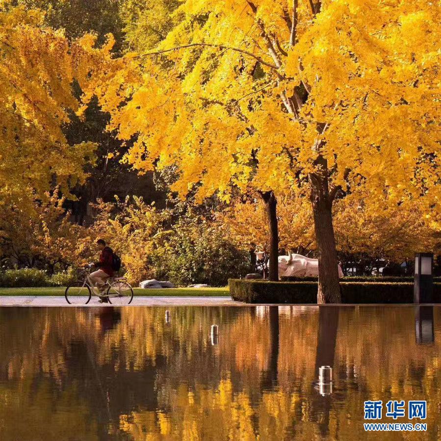#新华网#镜观中国·新华社国内照片精选｜北京拾秋