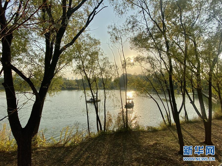 #新华网#镜观中国·新华社国内照片精选｜北京拾秋
