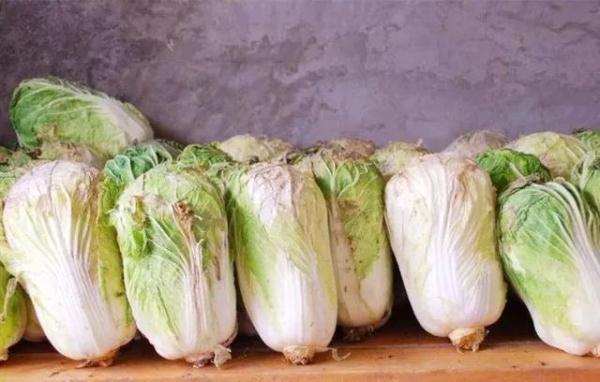 【光明网】今日小雪：天地初寒，愿岁月安暖