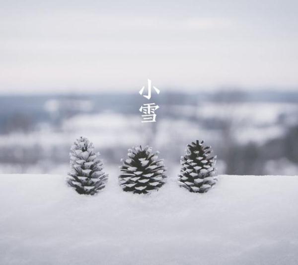 【光明网】今日小雪：天地初寒，愿岁月安暖