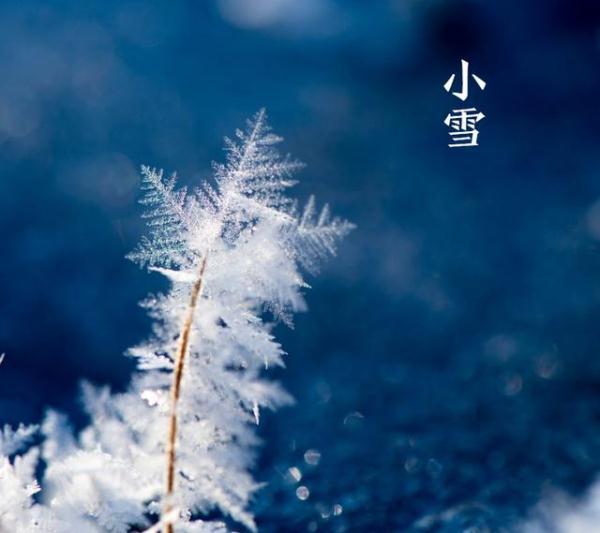 【光明网】今日小雪：天地初寒，愿岁月安暖