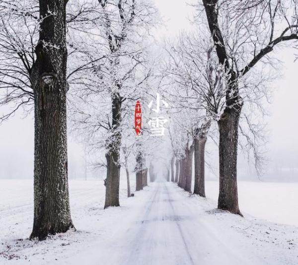 【光明网】今日小雪：天地初寒，愿岁月安暖