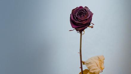 【上观新闻】人大毕业失联女生已离世，学妹：她平时很温柔稳重