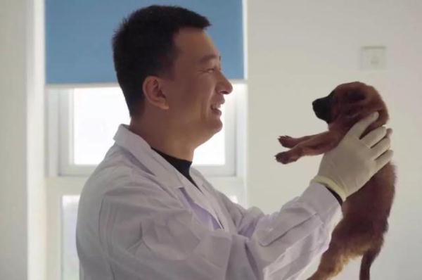 「光明网」我们准备好了 六小只的“成人礼”