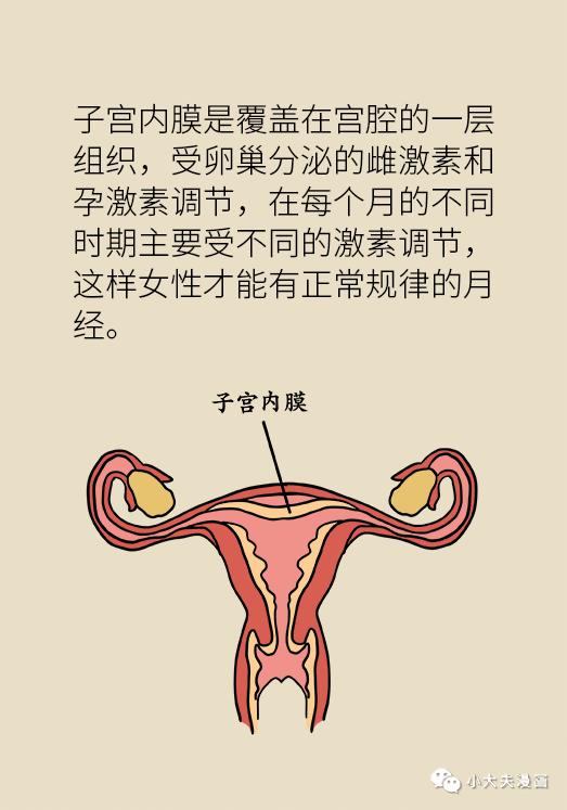 女性之声@知道|体重超过这个指标，你就要小心了！胖女孩：我太难了！