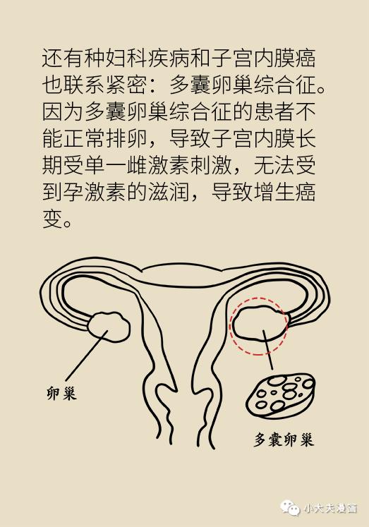 女性之声@知道|体重超过这个指标，你就要小心了！胖女孩：我太难了！