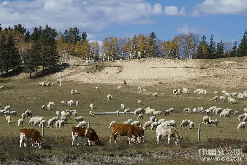 中国经济网@一个人成功的迹象，藏在底层思维里 | 可读