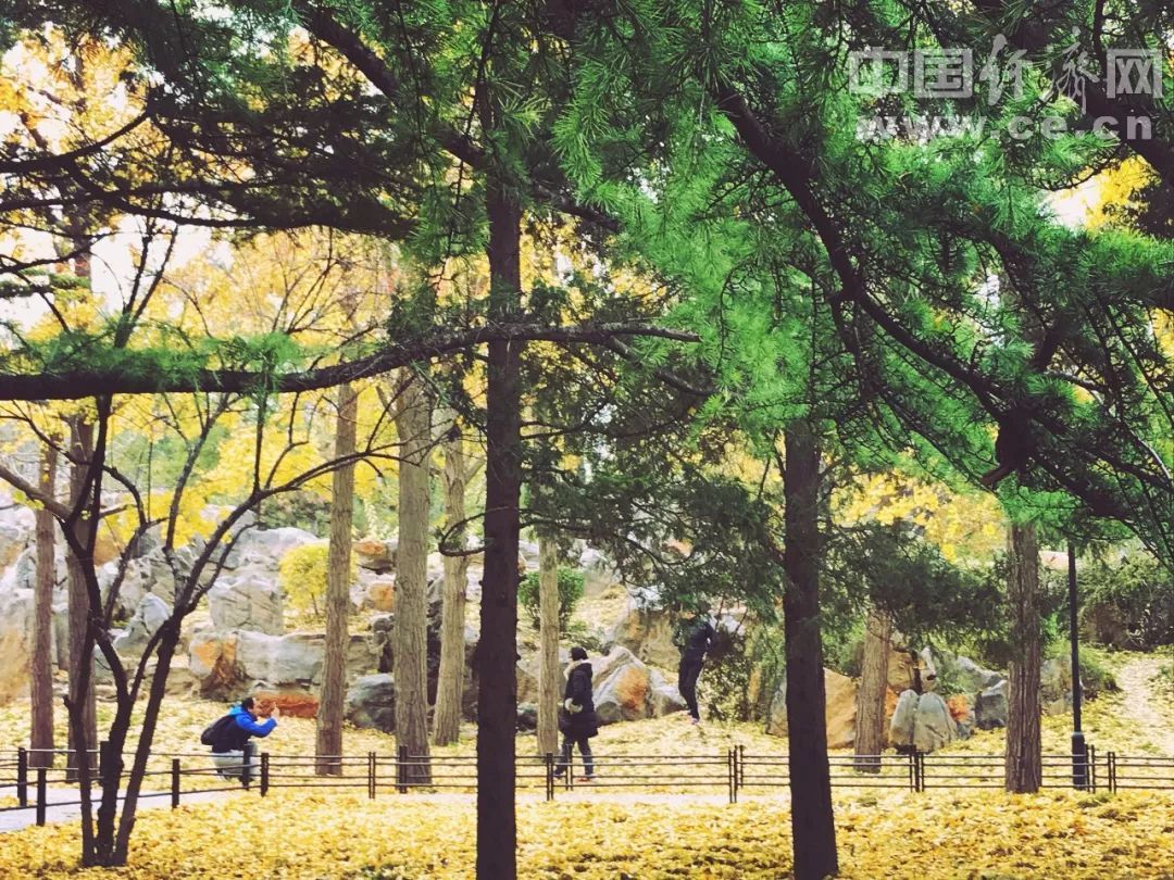 中国经济网@一个人成功的迹象，藏在底层思维里 | 可读