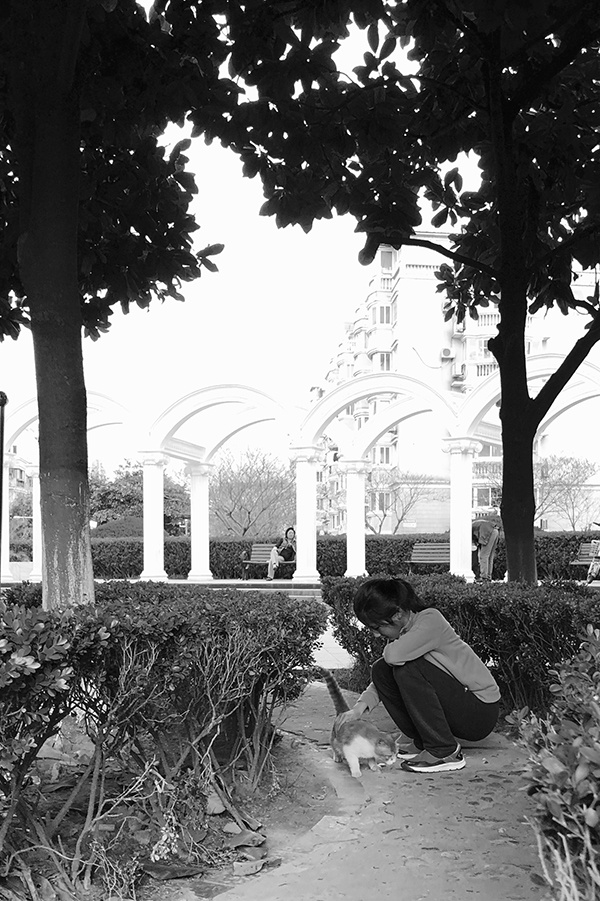 「澎湃新闻」小区史｜谜之少女