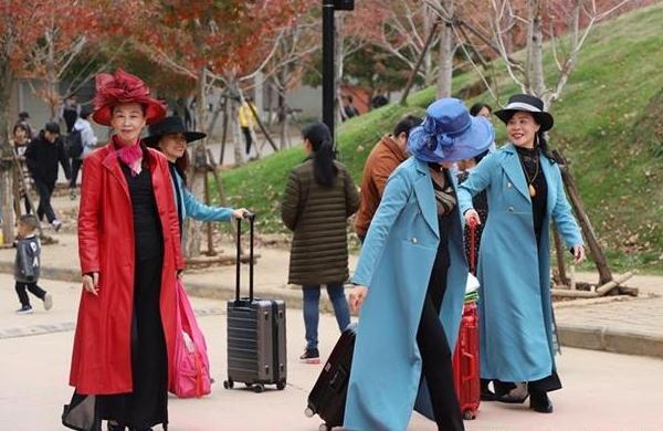 「中国网」万棵红枫映如霞 高校打造特色文化景观吸引市民争相打卡