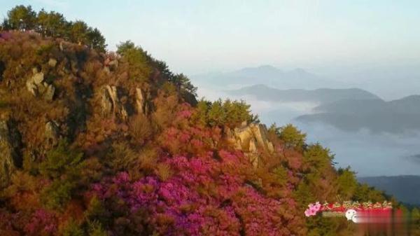 光明网：以山为名，与山为伴，他是大山深处的一抹红