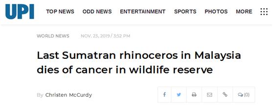 #中国青年网#马来西亚最后一只苏门答腊犀牛因癌病逝 全球仅剩约80头