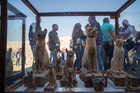 「海外网」埃及发现数十具2000年前动物木乃伊 有狮子有鳄鱼……