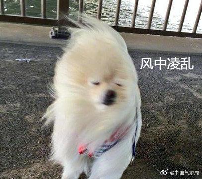 光明网：北方成降温“主战场”普降6～10℃，明起南方迎“俯冲式”降温